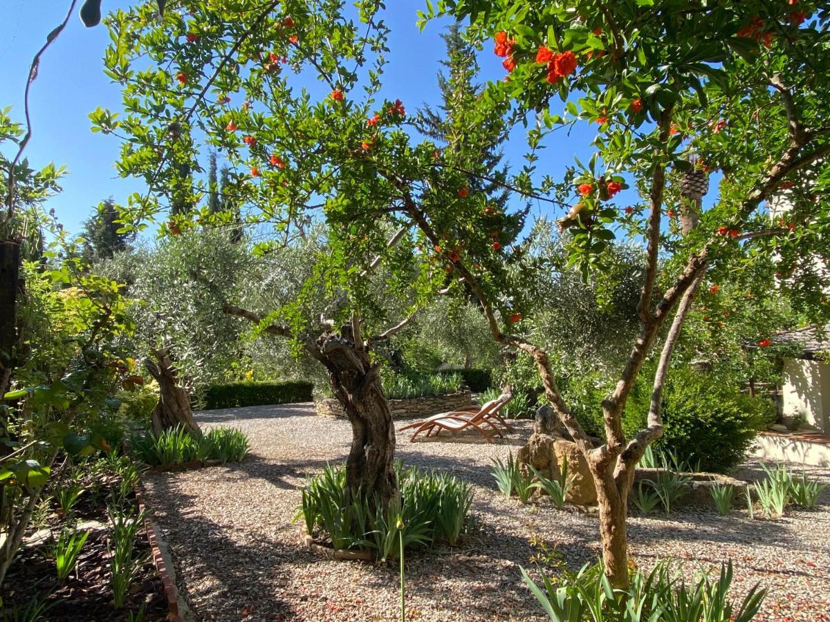 Beautiful Country House Near Ronda Arriate Buitenkant foto