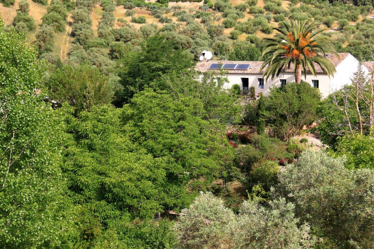 Beautiful Country House Near Ronda Arriate Buitenkant foto